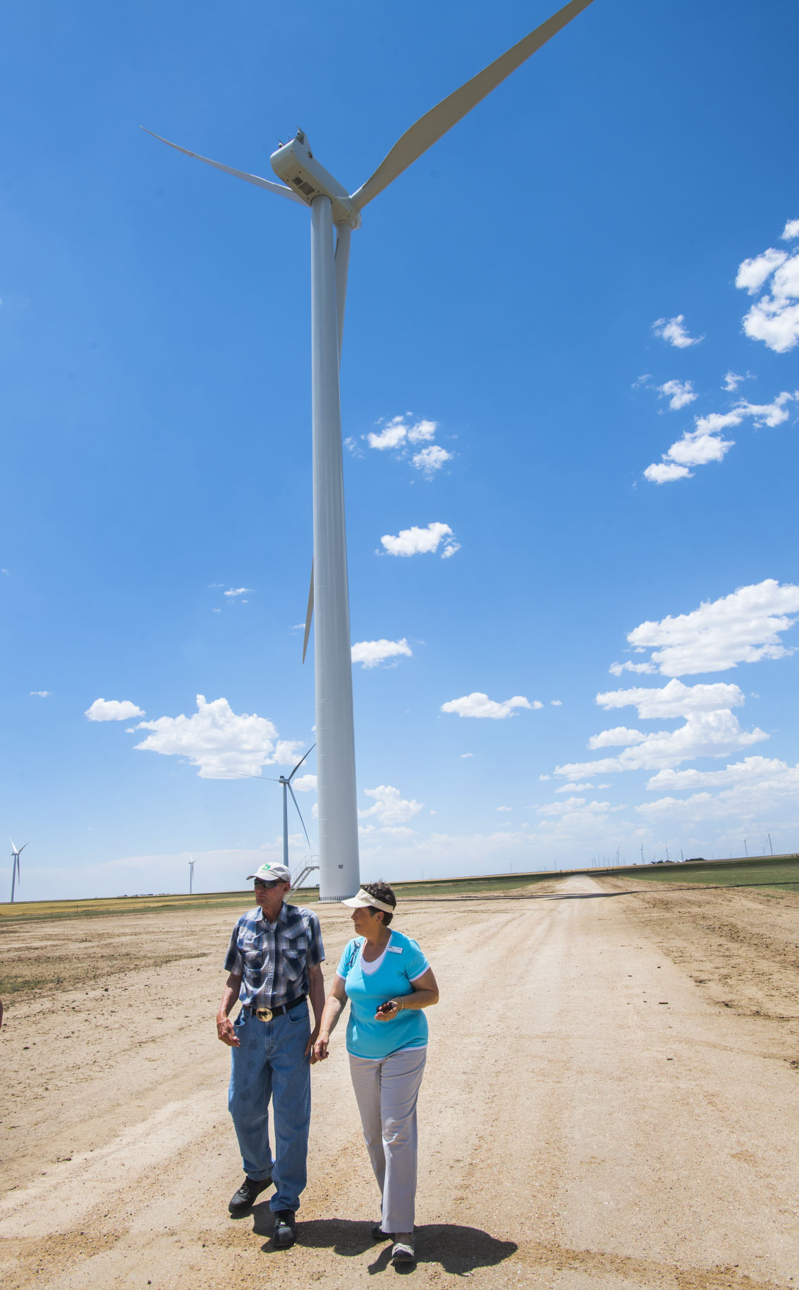 wind farm